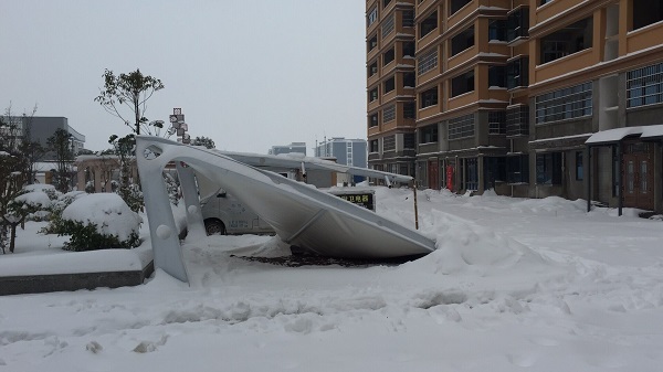 被積雪壓塌的車棚都有什么特點？
